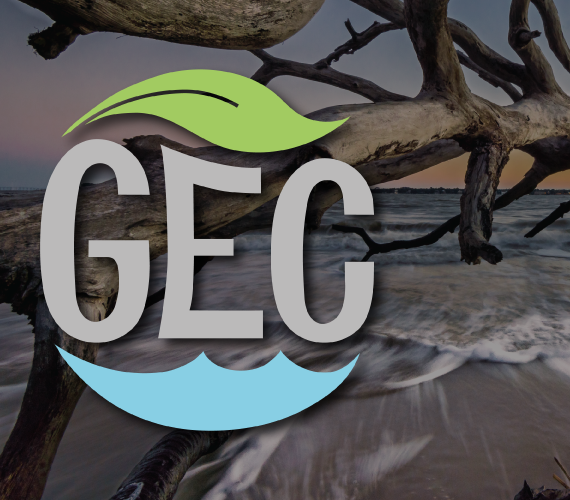 Georgia environmental conference logo over a beach scene