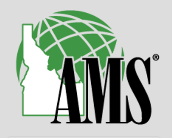 ams logo
